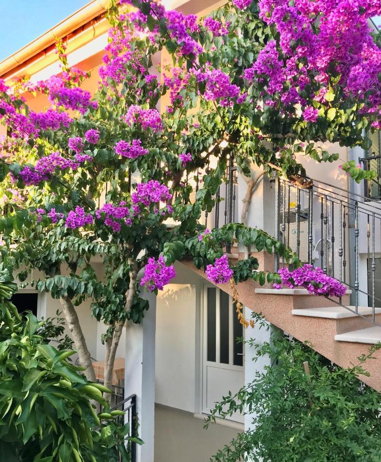 Apartmani Ružica Zastražišće Exteriér fotografie